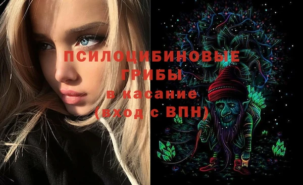 прущий лед Дмитров