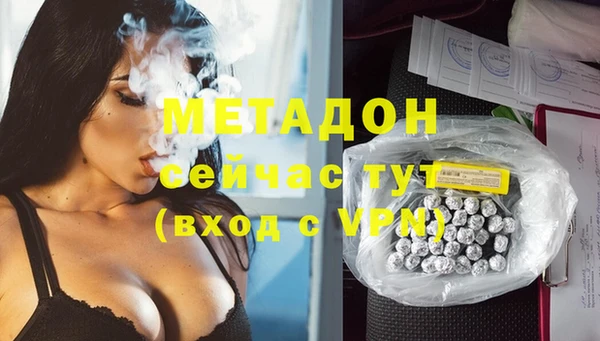 индика Алагир