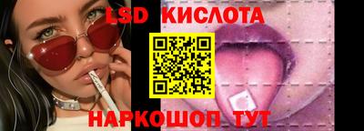 прущие грибы Азнакаево