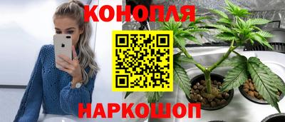 jwh Гай