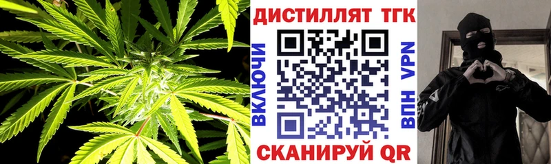 магазин    Елизово  ТГК Wax 