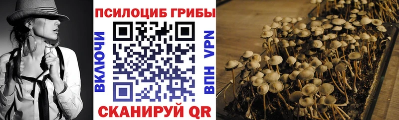 дарнет шоп  Елизово  гидра вход  Псилоцибиновые грибы MAGIC MUSHROOMS 