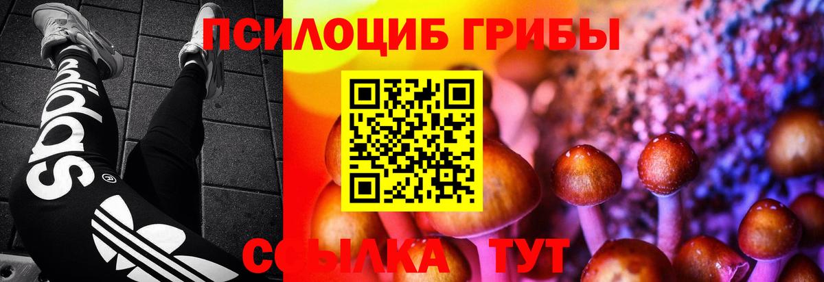Галлюциногенные грибы MAGIC MUSHROOMS Елизово
