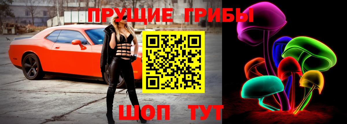 Елизово  цена наркотик  Галлюциногенные грибы Psilocybe  Вход с VPN  Галлюциногенные грибы Psilocybine cubensis 