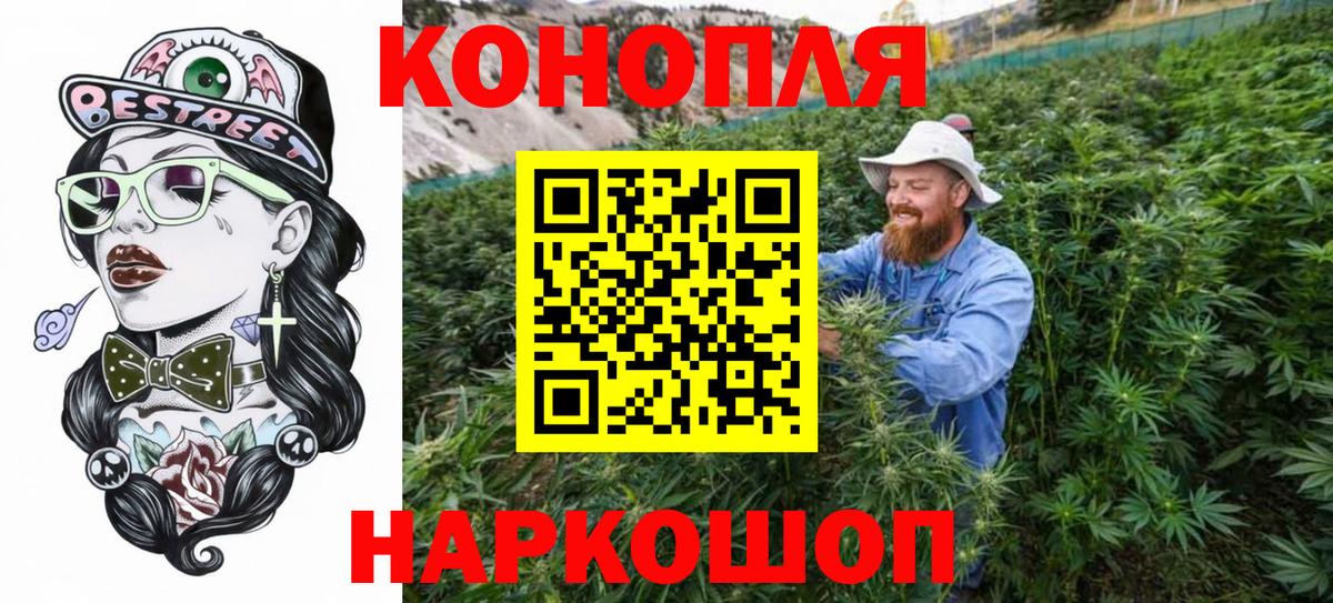 Бошки марихуана сатива Елизово